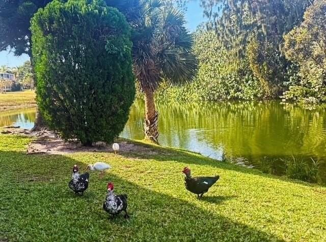 85 Northampton St - Photo 3 of 17