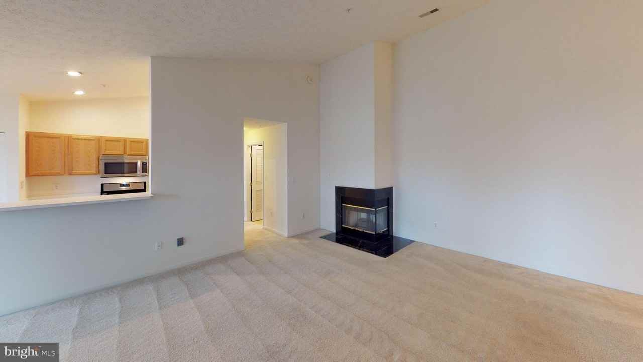 2443 Blue Spring Ct Unit 303 #303 - Photo 4 of 14