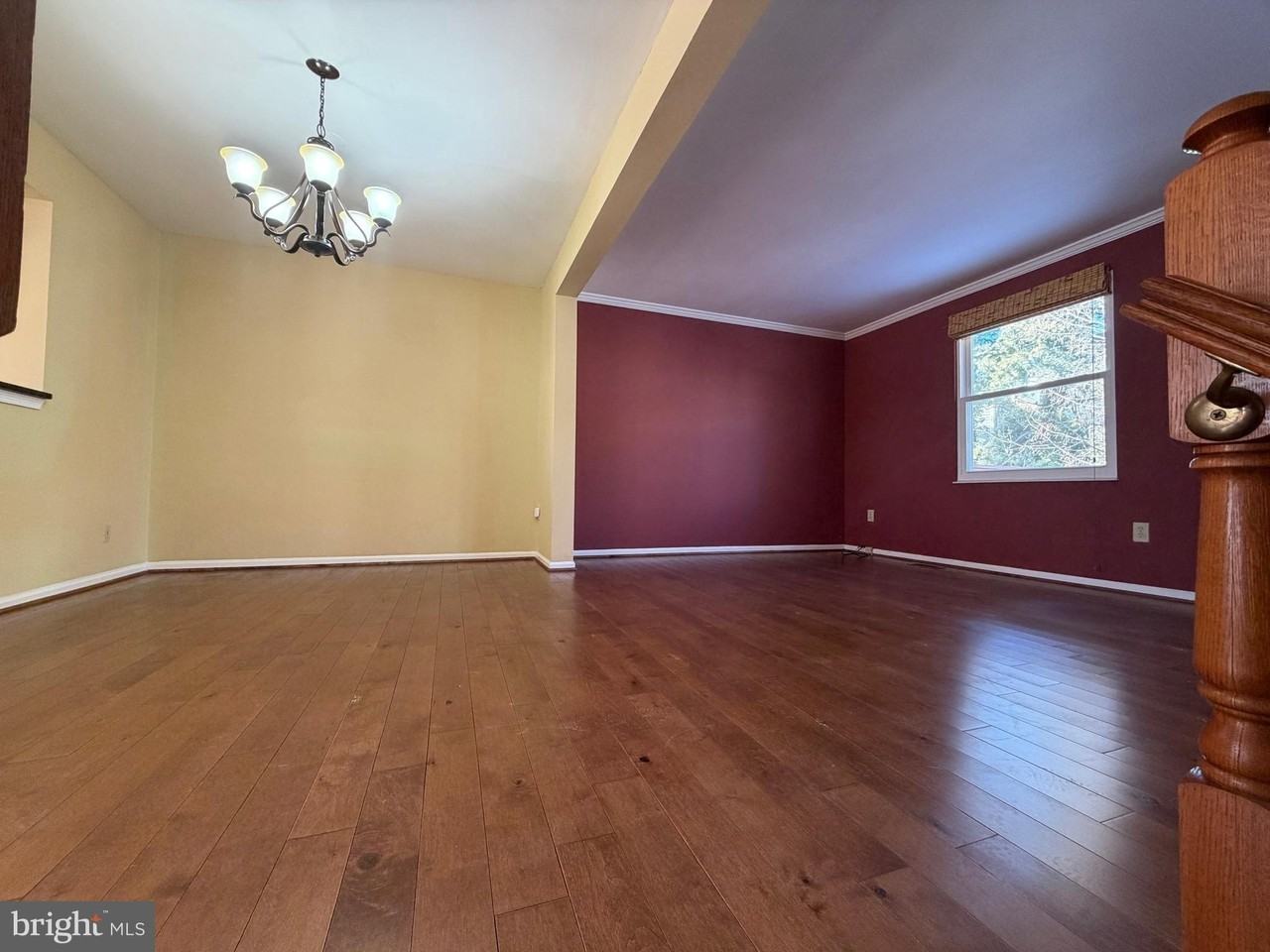 302 Twisted Stalk Dr - Photo 4 of 17