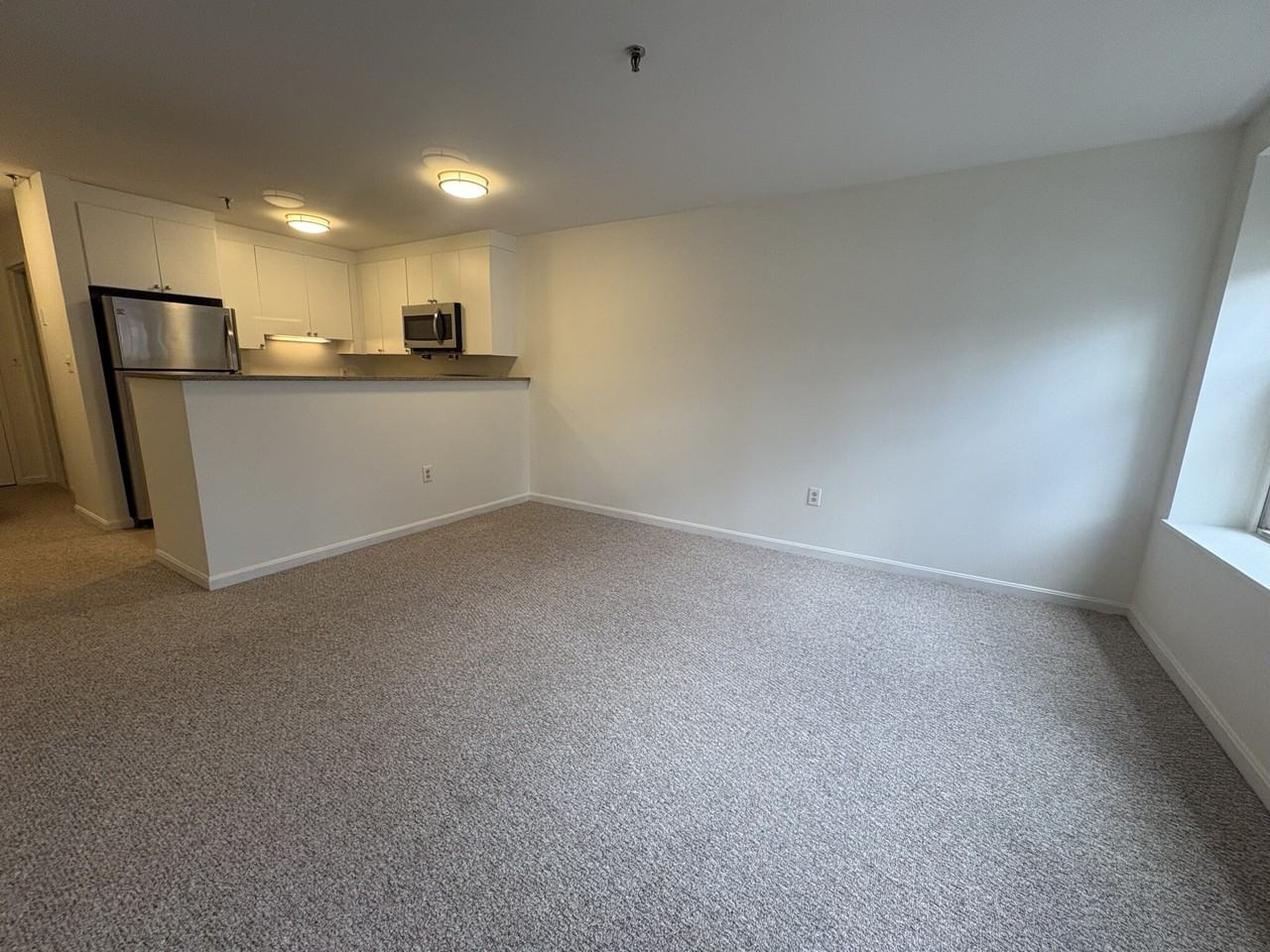 103 9th St #211F - Photo 4 of 13