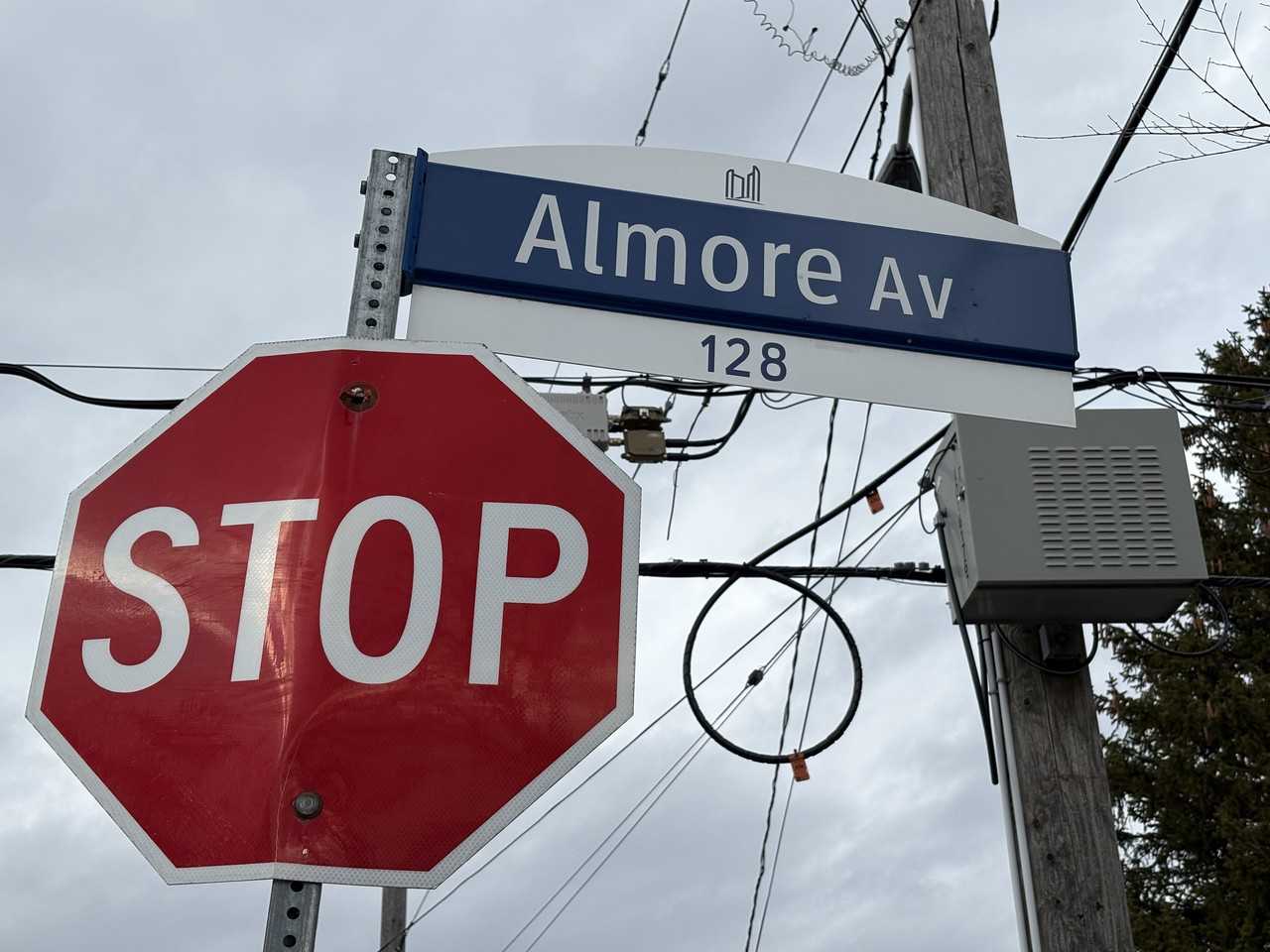 113 Almore Ave - Photo 2 of 7