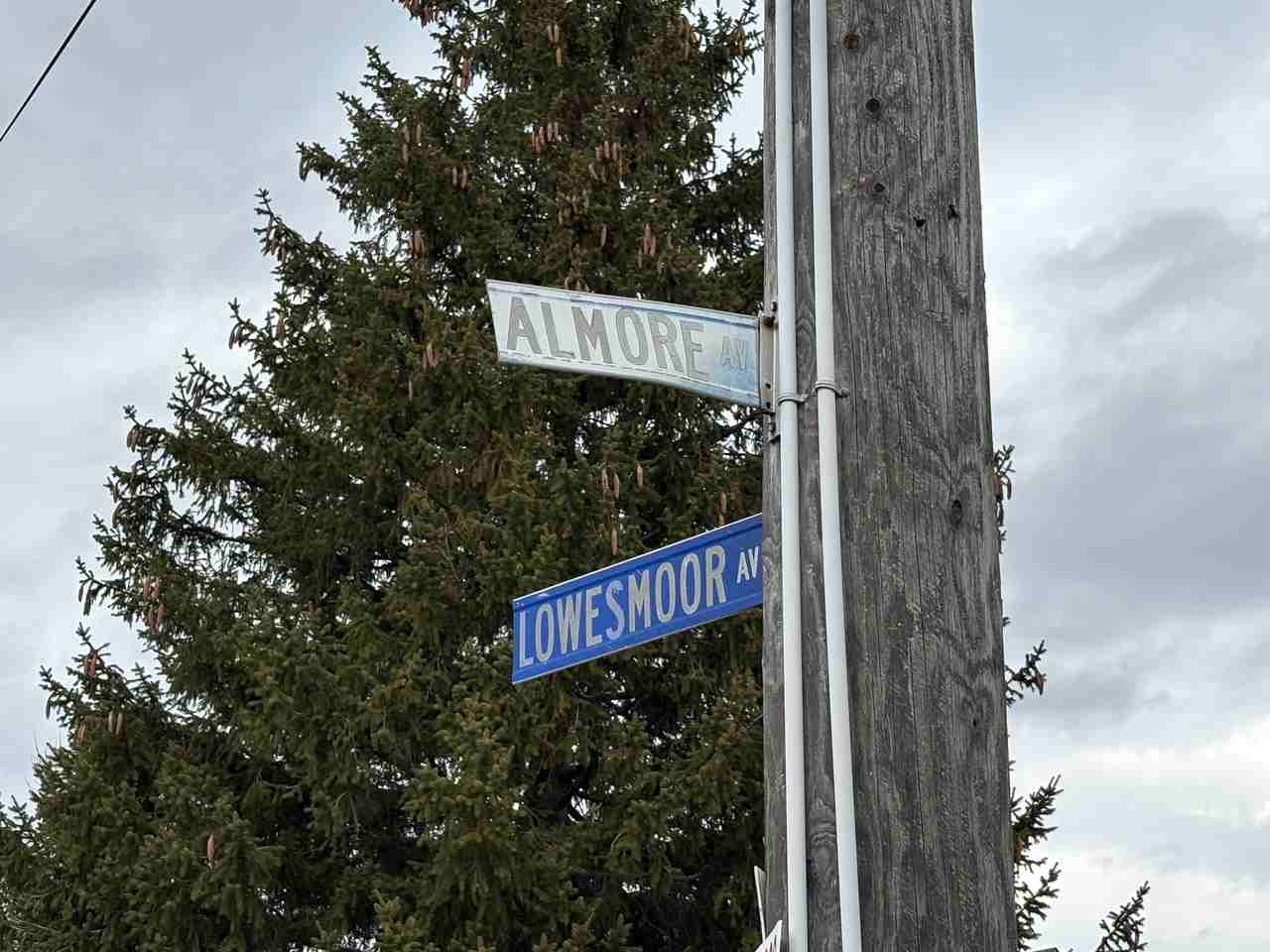 113 Almore Ave - Photo 5 of 7