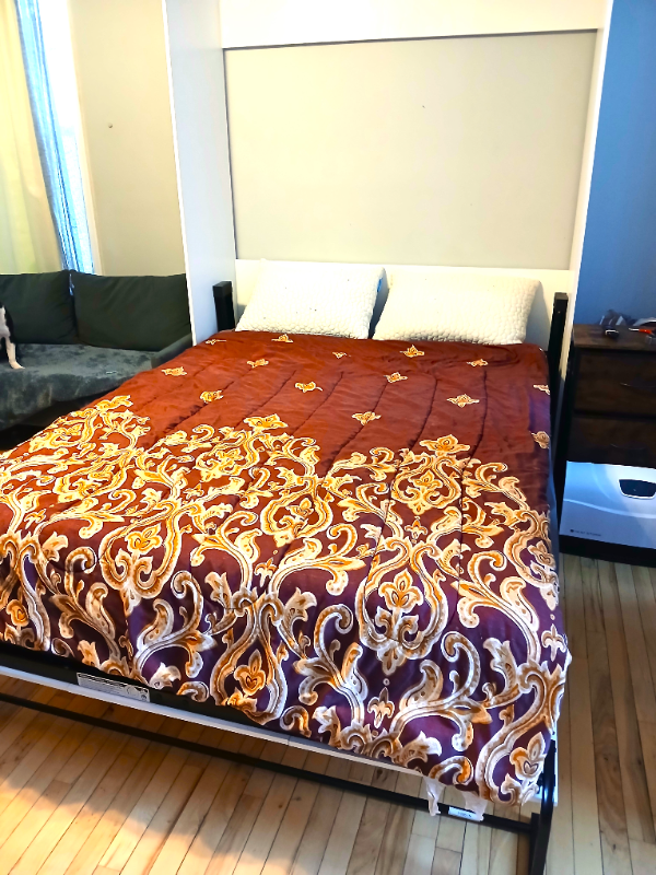 5023 Spruce St - Photo 2 of 18