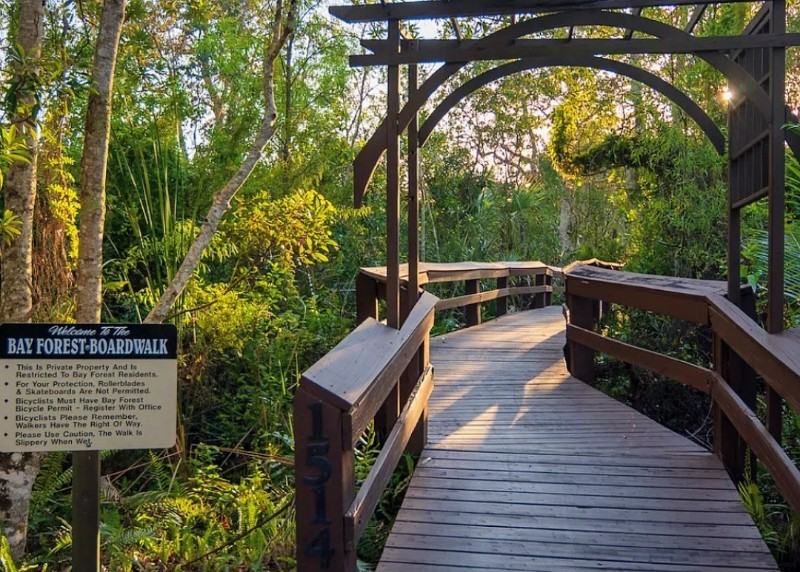 15171 Cedarwood Ln #3604 - Photo 7 of 14