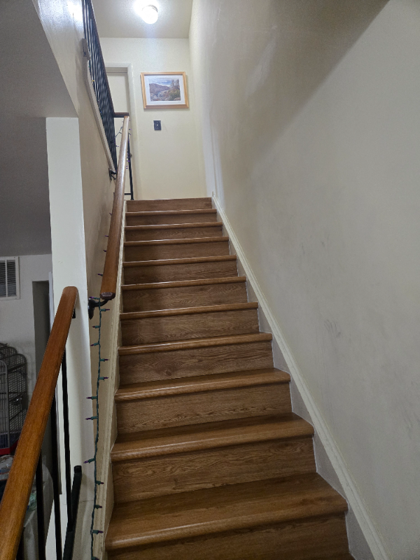 11435 Appledowre Way - Photo 7 of 19