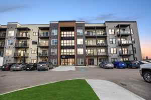 featured image of 100 Lyra Gate