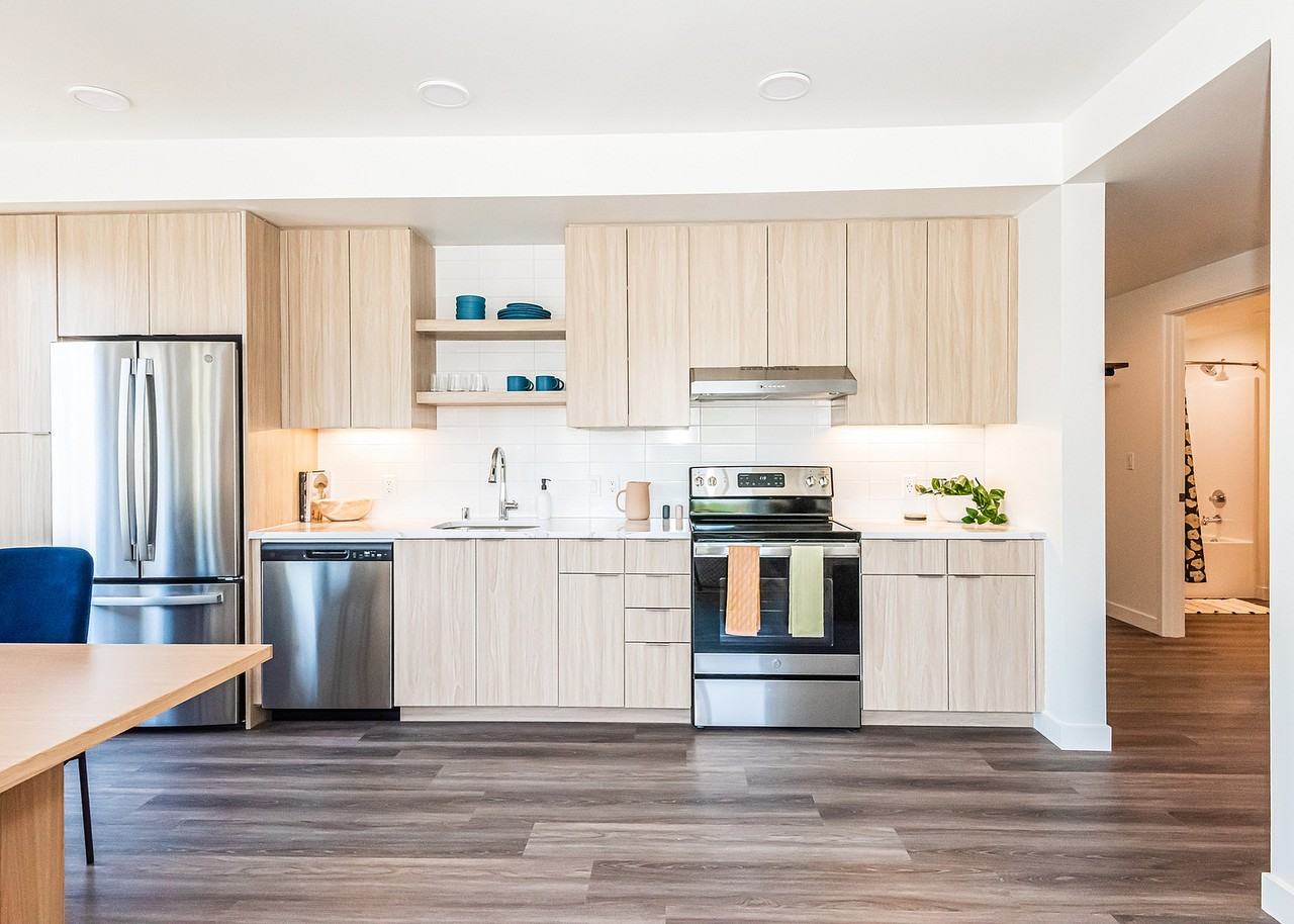 Ninebark - Photo 2 of 50