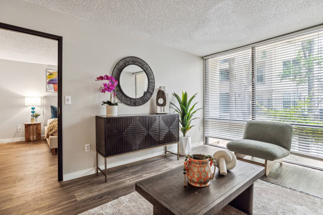 Providence Mockingbird - Photo 2 of 35