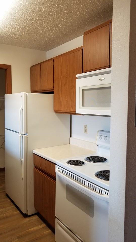 4602 16th Ave S - Photo 4 of 12