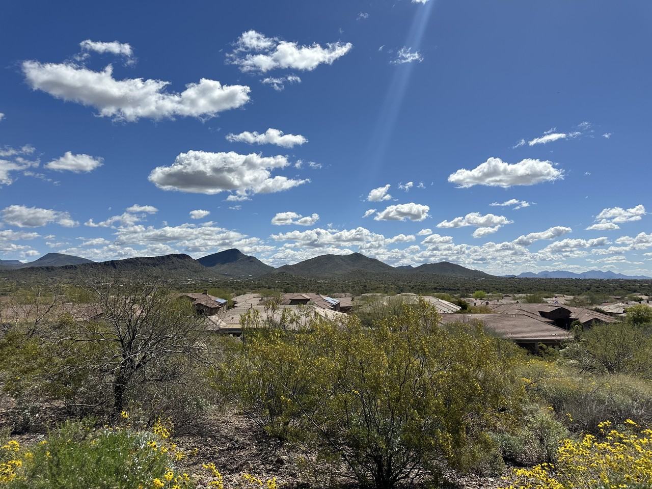 42107 N Mountain Cove Dr #NA - Photo 2 of 30