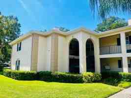 featured image of 10368 Carrollwood Ln #234