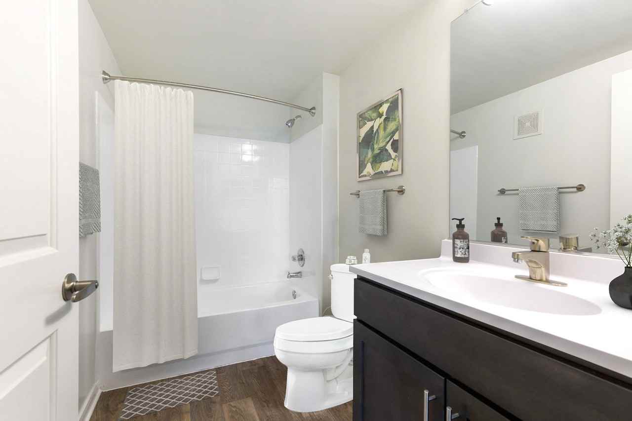 The Apartments at Cambridge Court - Photo 6 of 32