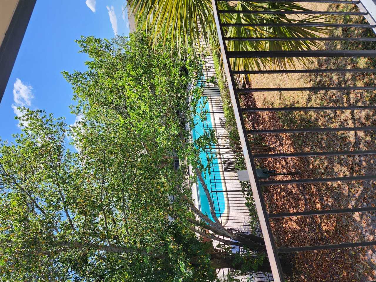 Oak Manor Apartment Homes - Photo 7 of 21