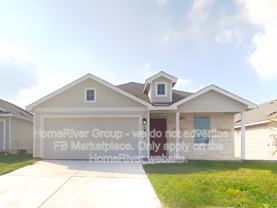 1911 Grey Catbird - Photo 1 of 1