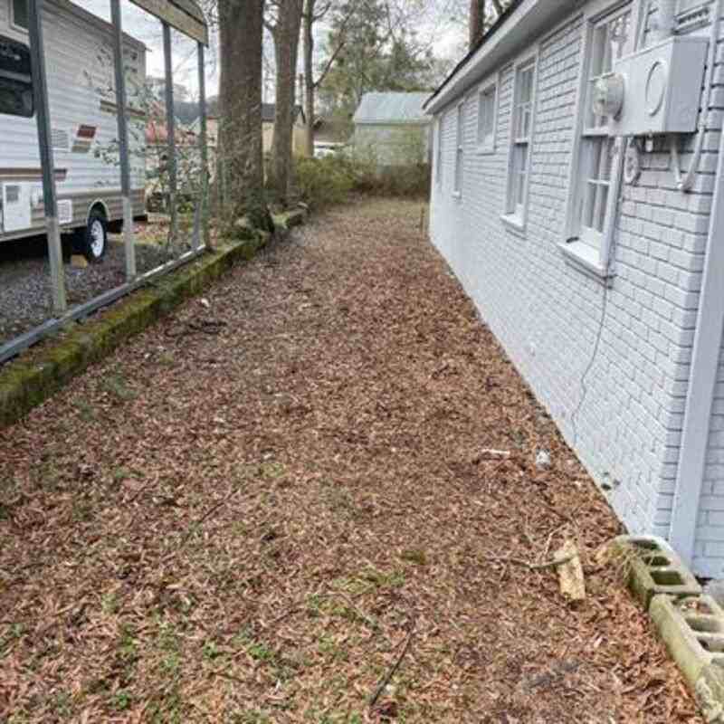 1324 Drewery Ave - Photo 5 of 17