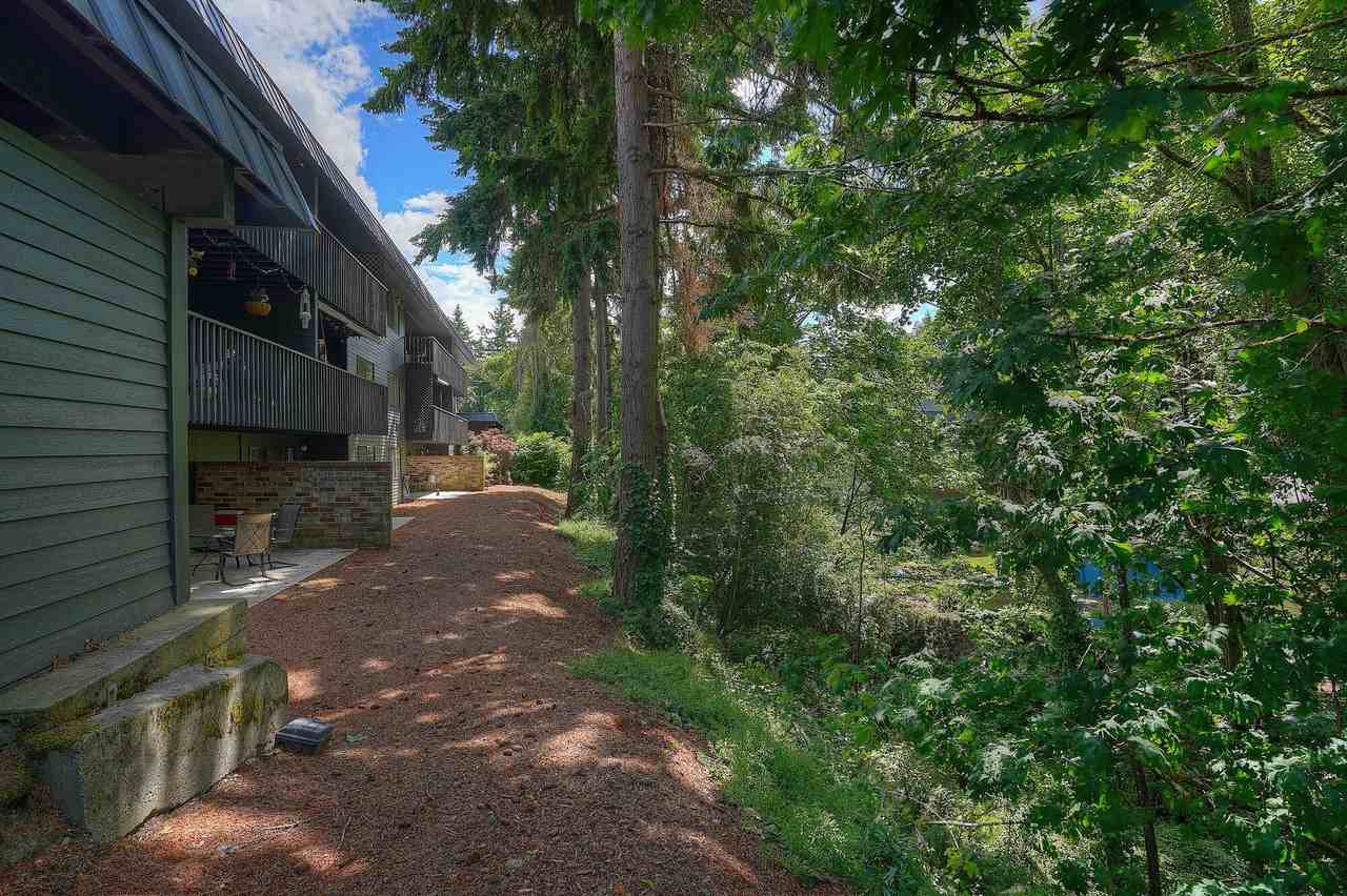 Conquistador - Photo 2 of 10