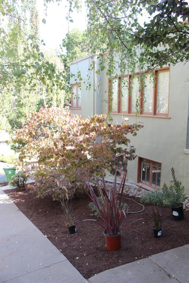 1126 Hampel - Photo 6 of 20