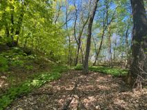 Trailside Townhomes - Photo 1 of 1