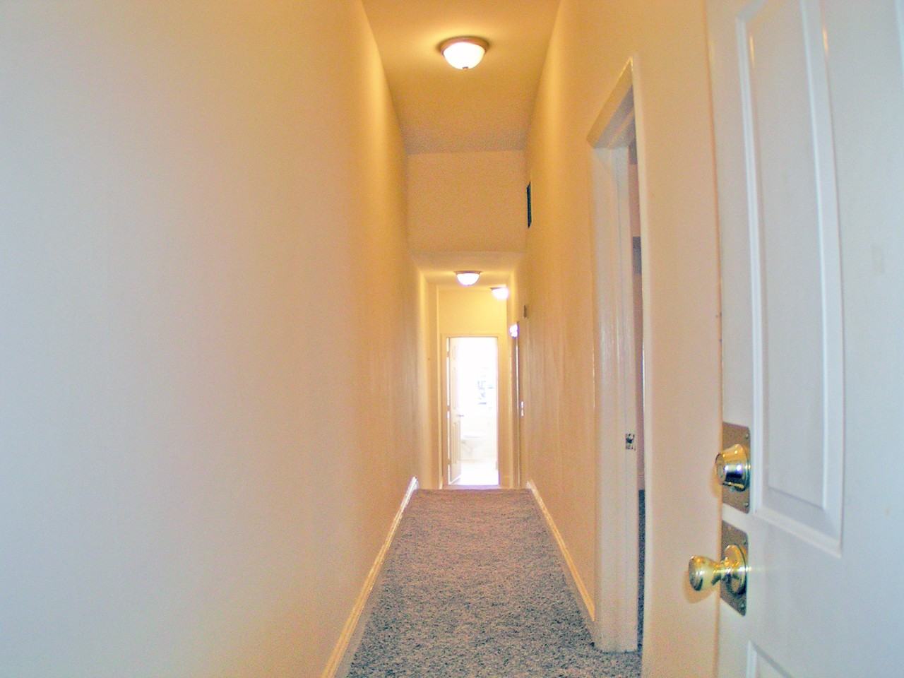 The Lafayette-Madison (1403) - Photo 2 of 12