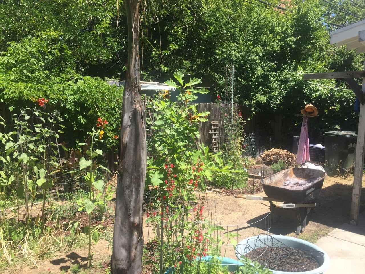 4201 V St #7 - Photo 4 of 4