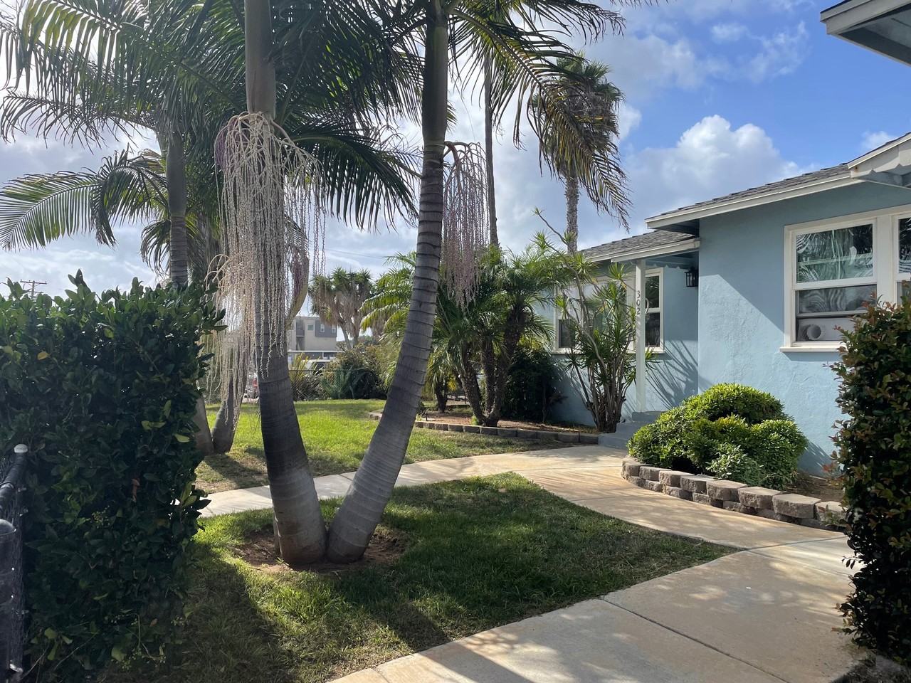 302 Whaley St #302 - Photo 2 of 13