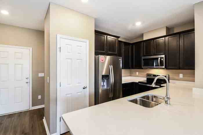 250 Mustard Hill Ct - Photo 6 of 12