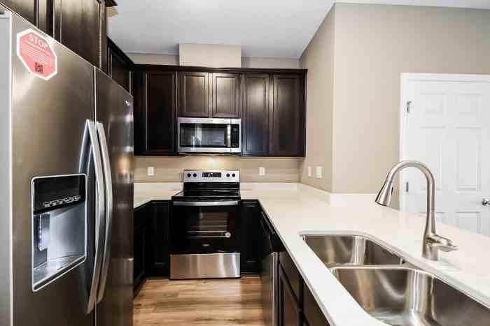 250 Mustard Hill Ct - Photo 7 of 12