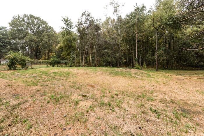 4414 Tantilla Cir - Photo 5 of 43