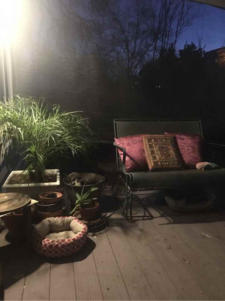 3815 N California St #NA - Photo 6 of 17