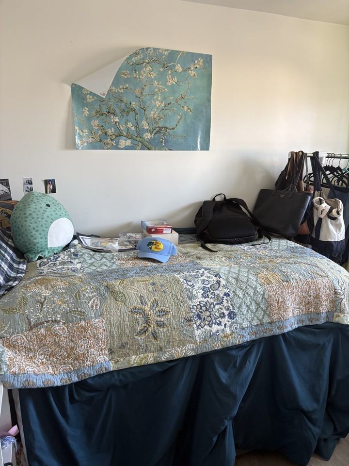 850 Camino Pescadero - 206 #206 - Photo 4 of 10