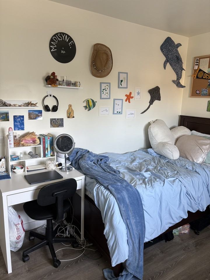 850 Camino Pescadero - 206 #206 - Photo 5 of 10