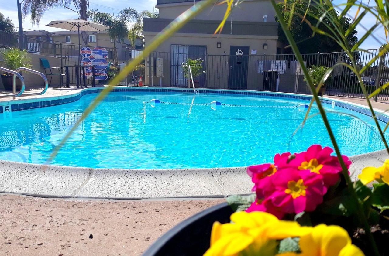 Shawnwood Forest Apartments - Photo 7 of 10