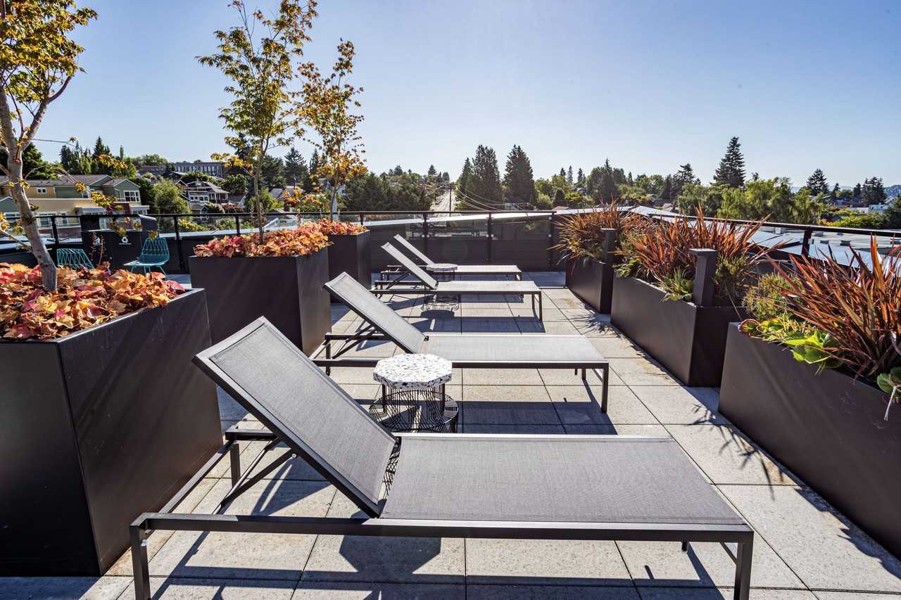 Reed - Photo 3 of 44