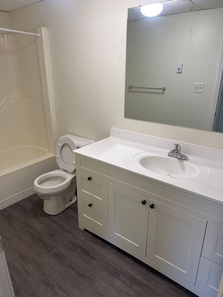 Darcys Apartments - Photo 5 of 15