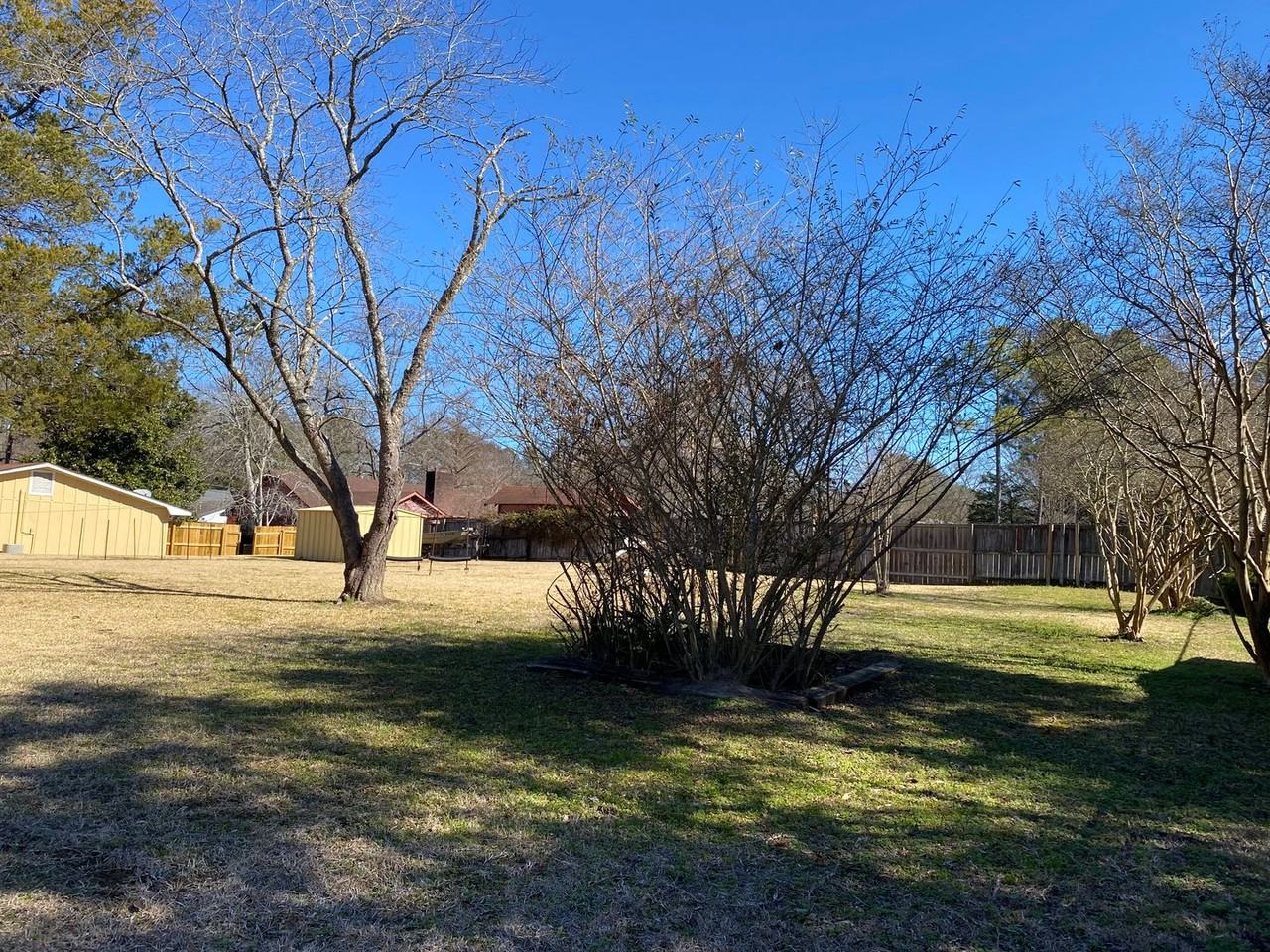 205 Dogwood Dr - Photo 5 of 24