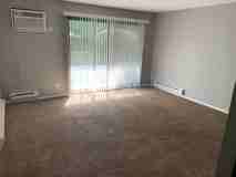 Lemont State Street Apartments - Photo 1 of 1