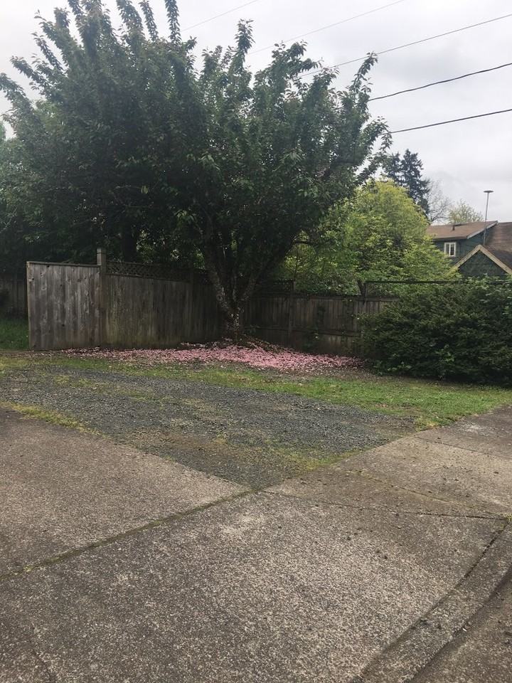 685 Sw Coral St - Photo 3 of 17