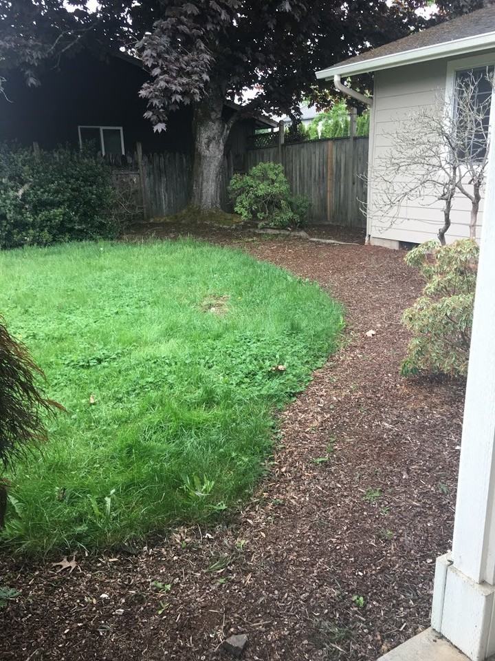 685 Sw Coral St - Photo 4 of 17