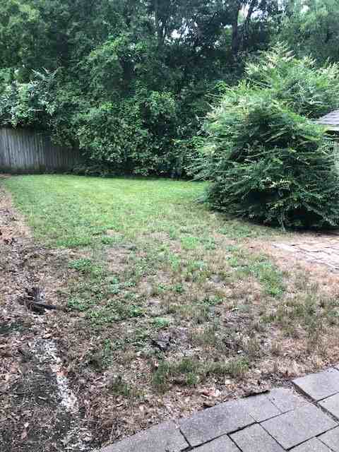 907 Denton St - Photo 5 of 10