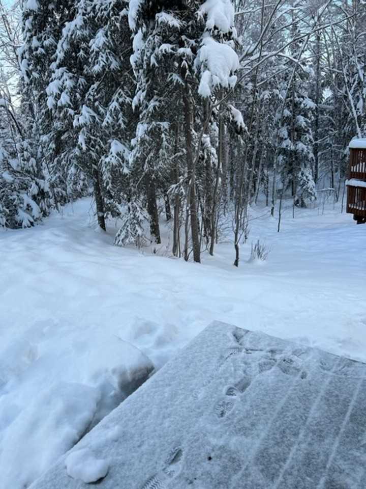 20212 Glacier Park Cir - Photo 6 of 24