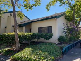 201 Lagunaria Ln - Photo 1 of 1