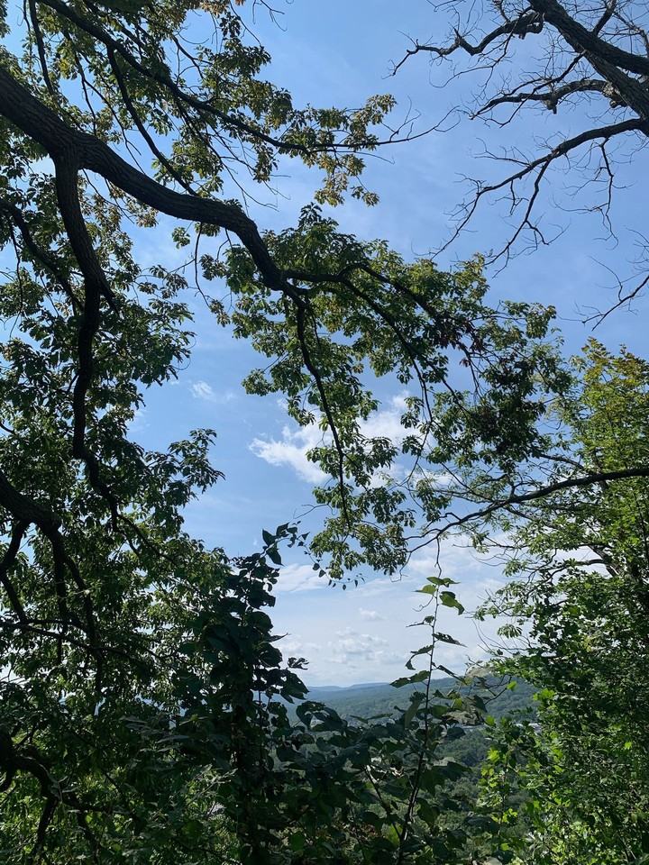 Edgecliff - Photo 5 of 27