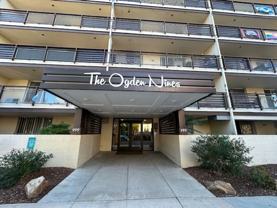 The Ogden Nines - Photo 1 of 1