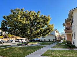 featured image of 1241 5th Ave