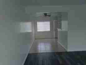 Flora - Photo 1 of 1