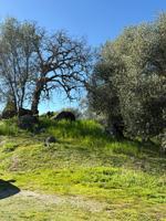 featured image of Sierra Vista Way