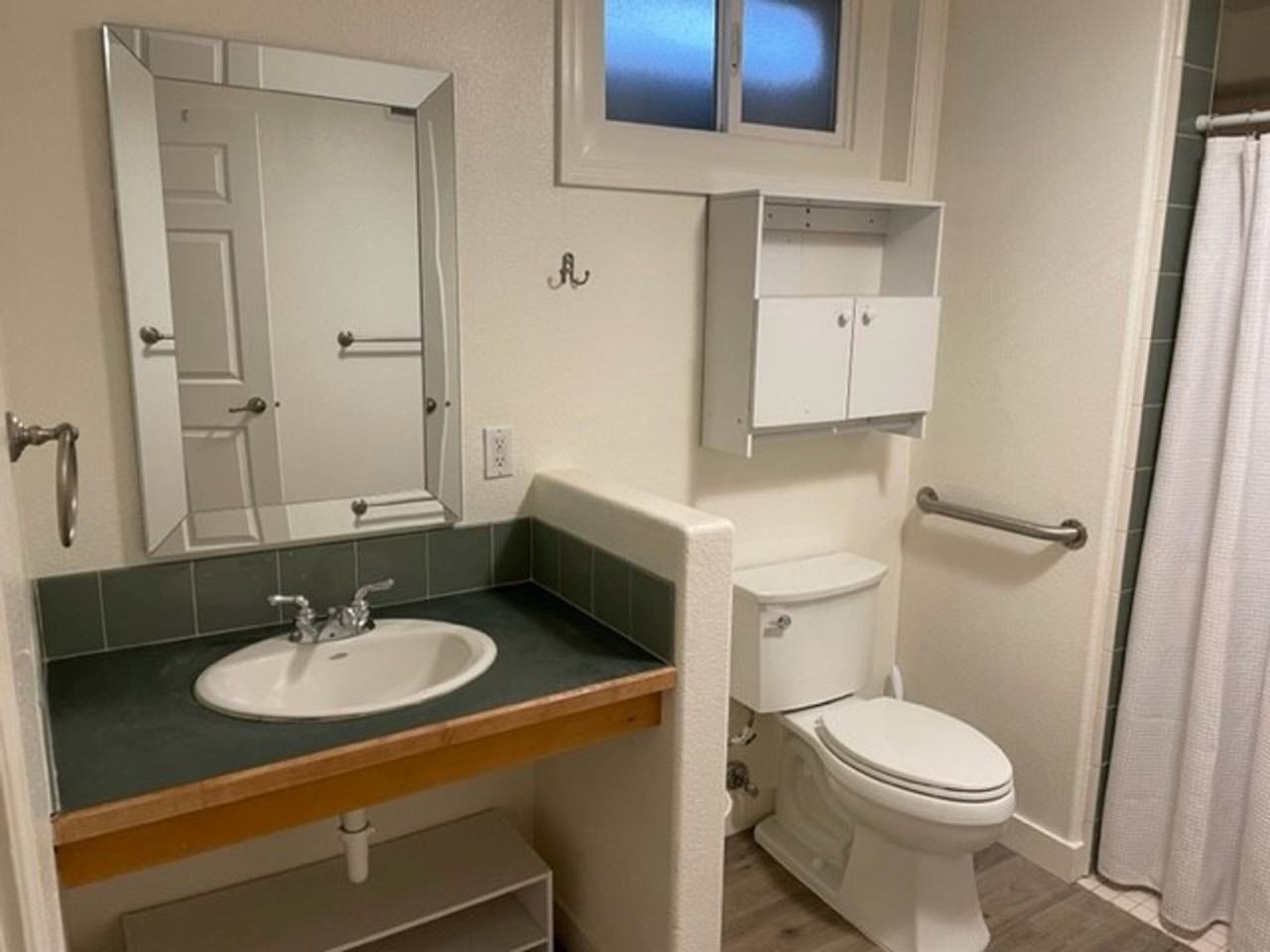 717 E Warm Springs Ave - Photo 4 of 12