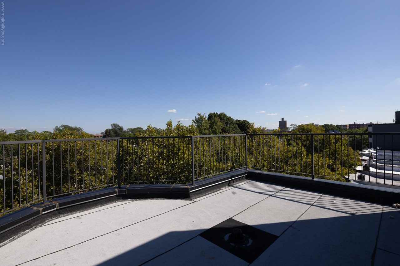 1266 Park Place - Photo 5 of 42