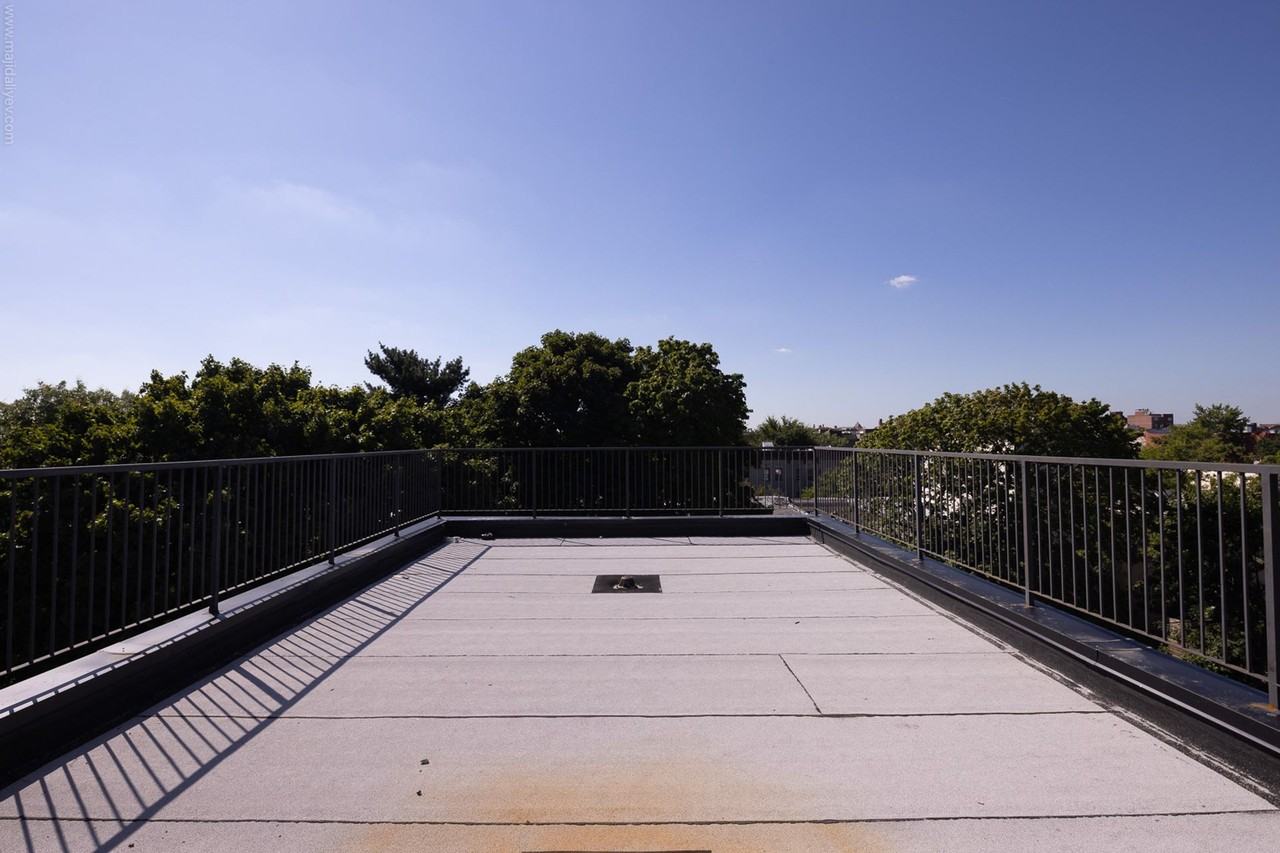 1266 Park Place - Photo 6 of 42