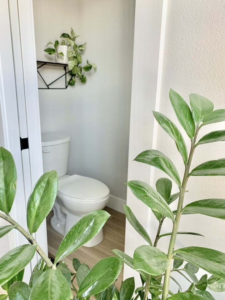 1663 St George Blvd - Photo 6 of 12